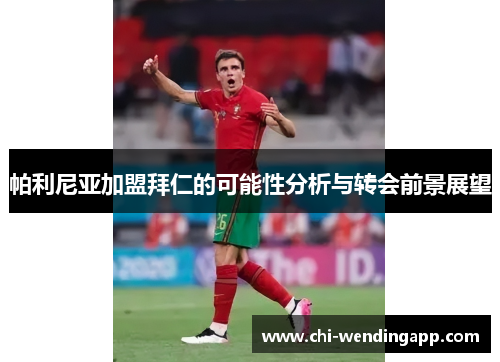 帕利尼亚加盟拜仁的可能性分析与转会前景展望 帕利尼亚加盟拜仁的可能性分析与转会前景展望