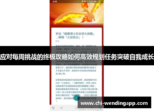 应对每周挑战的终极攻略如何高效规划任务突破自我成长 应对每周挑战的终极攻略如何高效规划任务突破自我成长