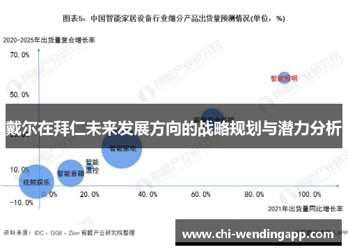 戴尔在拜仁未来发展方向的战略规划与潜力分析 戴尔在拜仁未来发展方向的战略规划与潜力分析