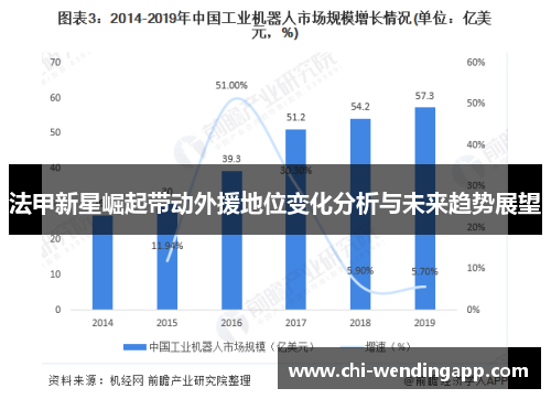 法甲新星崛起带动外援地位变化分析与未来趋势展望