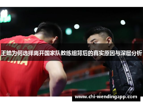 王皓为何选择离开国家队教练组背后的真实原因与深层分析