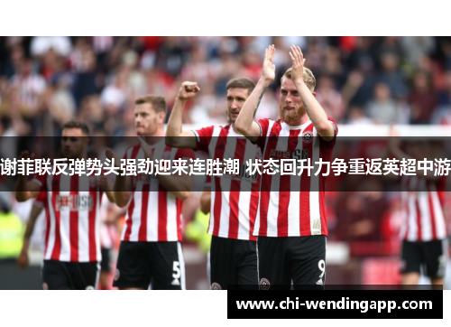 谢菲联反弹势头强劲迎来连胜潮 状态回升力争重返英超中游 谢菲联反弹势头强劲迎来连胜潮 状态回升力争重返英超中游