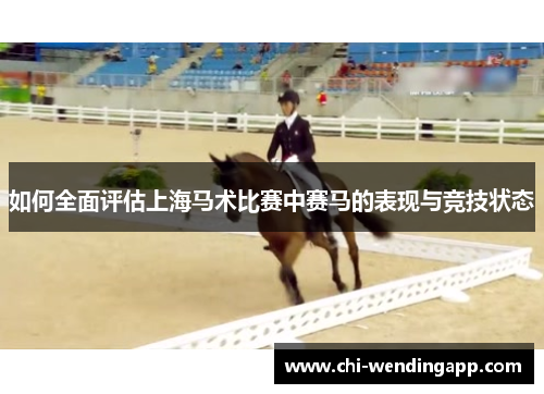 如何全面评估上海马术比赛中赛马的表现与竞技状态