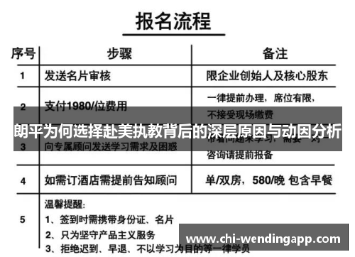 朗平为何选择赴美执教背后的深层原因与动因分析