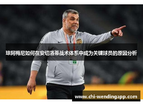 琼阿梅尼如何在安切洛蒂战术体系中成为关键球员的原因分析 琼阿梅尼如何在安切洛蒂战术体系中成为关键球员的原因分析