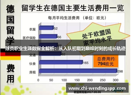 球员职业生涯数据全解析:从入队初期到巅峰时刻的成长轨迹 球员职业生涯数据全解析:从入队初期到巅峰时刻的成长轨迹