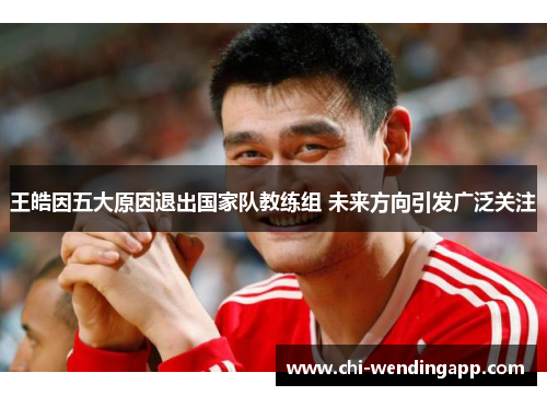 王皓因五大原因退出国家队教练组 未来方向引发广泛关注 王皓因五大原因退出国家队教练组 未来方向引发广泛关注