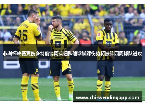 非洲杯决赛受伤多特前锋阿莱归队确诊脚踝伤势将缺阵四周球队进攻